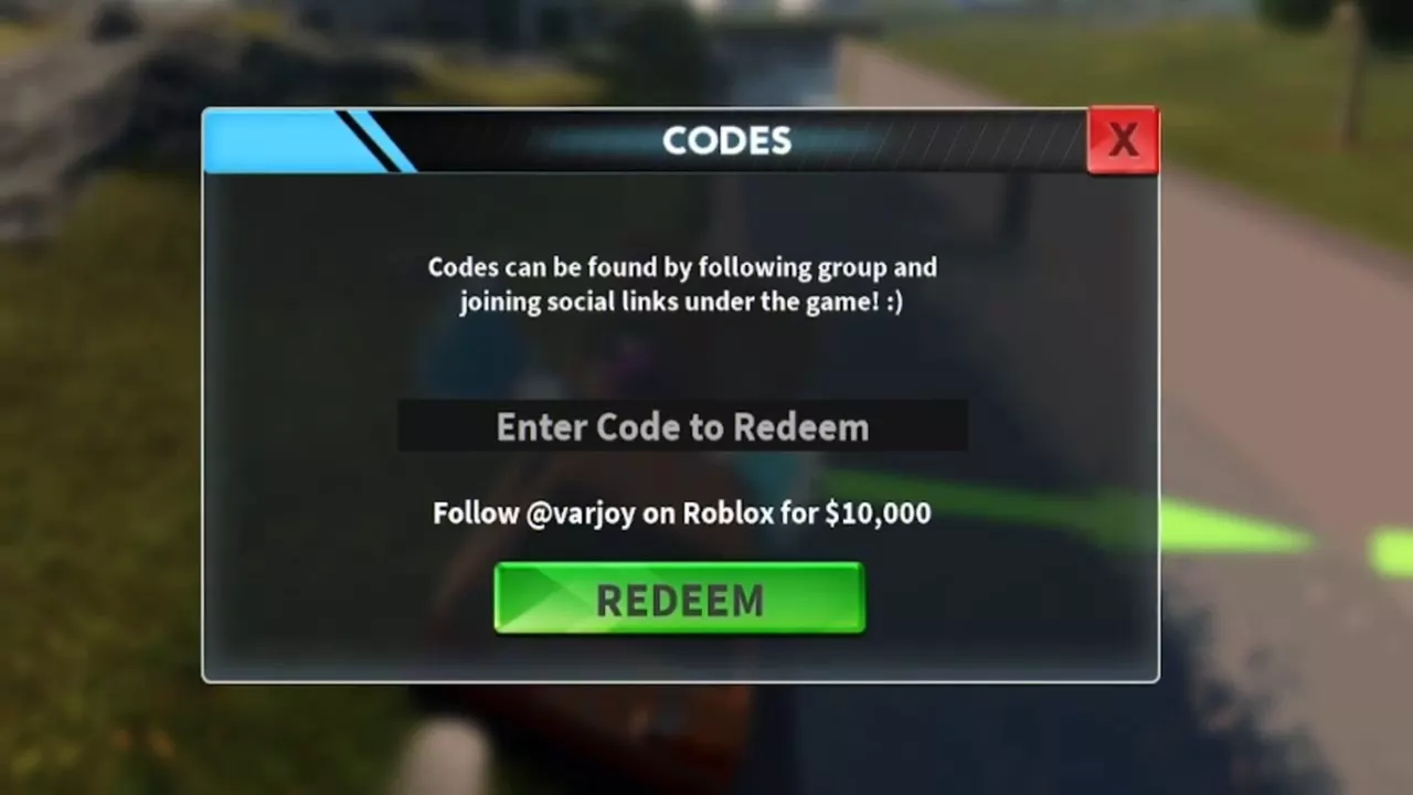 Enter a code in the field in the CODES window.